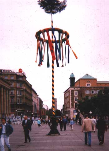 maibaum.jpg